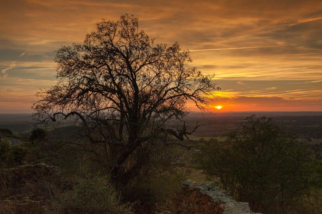 Monte Farropo Hotel Monsaraz Bagian luar foto